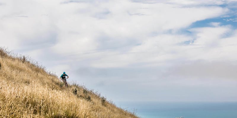 A biker on a hillside near the ocean