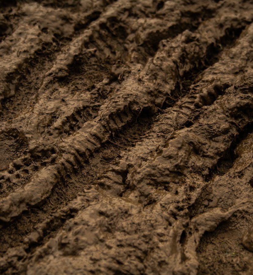 EWS 9 Tweed Valley - Mud